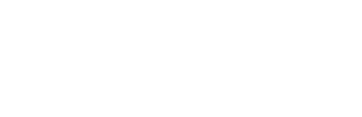 Monte Carlo Logo
